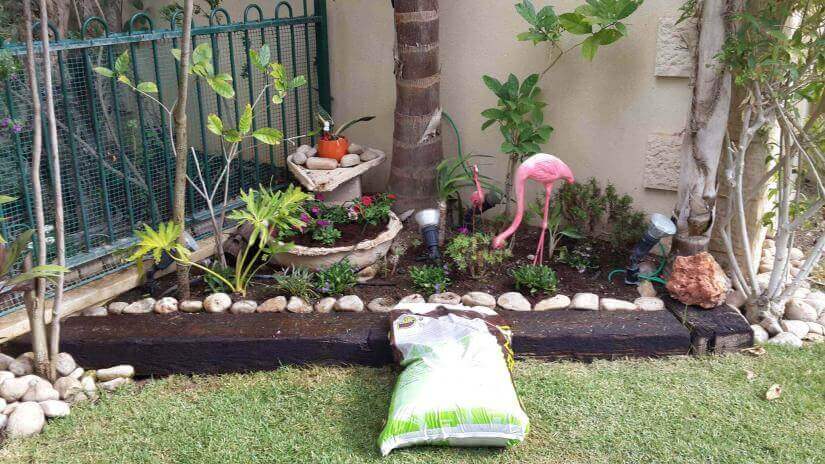 שתילת פרחים וצמחיה